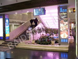 Ступени из мрамора Коэлга