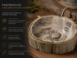 Окаменелое дерево - раковина
