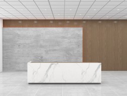 Ресепшн из мрамора Статуарио белый