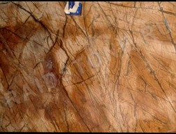 Мрамор Бидасар голд (Bidasar Gold polish)