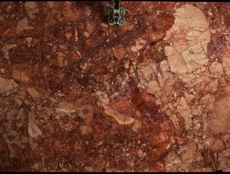 Мрамор Бречия Перниче (Breccia Pernice)