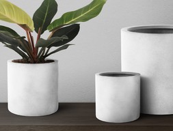 Кашпо Кемал Паша